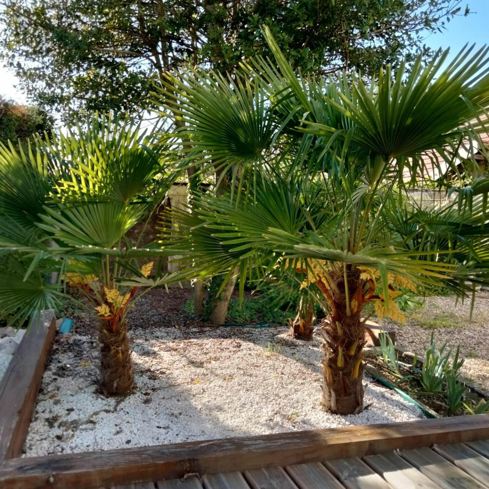 Le Jack Bed & Breakfast Mont-sous-Vaudrey Luaran gambar
