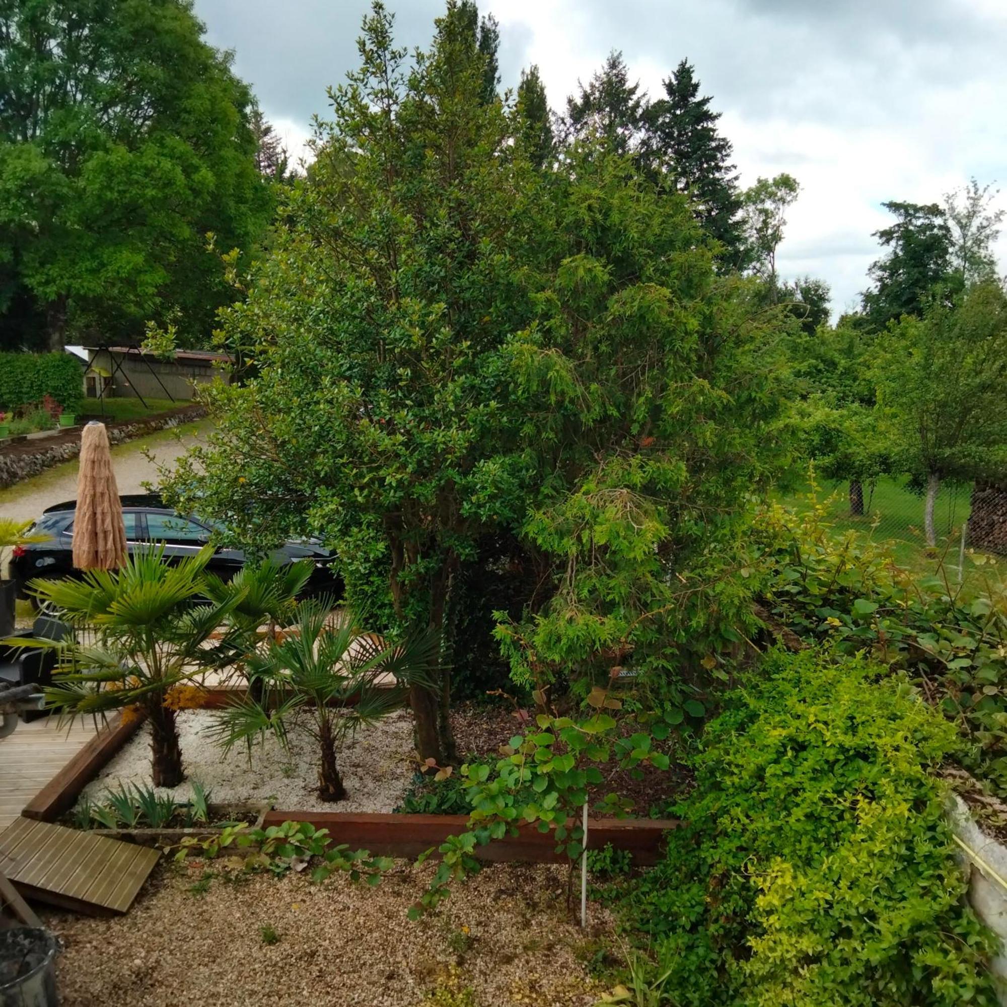 Le Jack Bed & Breakfast Mont-sous-Vaudrey Luaran gambar